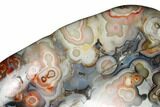 Polished Crazy Lace Agate - Mexico #180552-2
